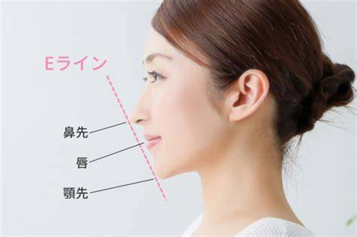 横顔のEラインと鼻の高さのバランス